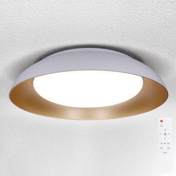 Brilagi - LED griestu lampa ALVA ar regulējamu spilgtumu LED/48W/230V 3000-6500K diametrs 51 cm balta + tālvadība