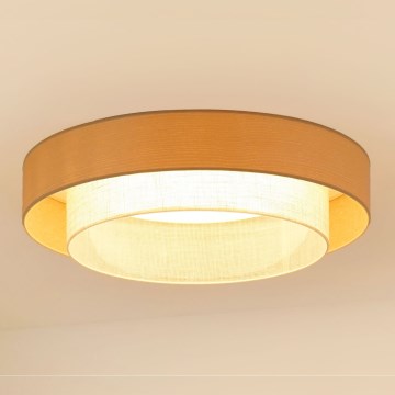 Brilagi - LED Griestu lampa ARIZONA BOHO LED/26W/230V d. 60 cm bēša