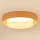 Brilagi - LED Griestu lampa ARIZONA BOHO LED/26W/230V d. 60 cm bēša
