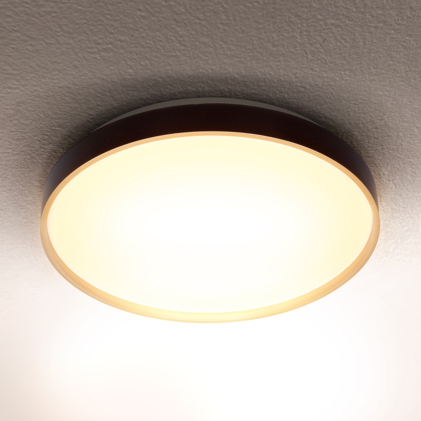 Brilagi - LED Griestu lampa CALA LED/24W/230V