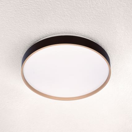 Brilagi - LED Griestu lampa CALA LED/24W/230V
