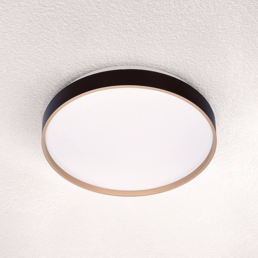 Brilagi - LED Griestu lampa CALA LED/24W/230V