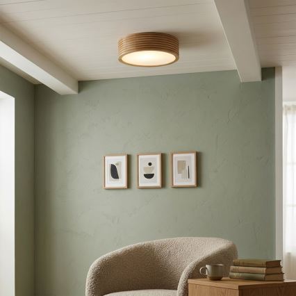 Brilagi - LED griestu lampa CARVALHO MODERN 1xE27/60W/230V Ø 27,5 cm ozols