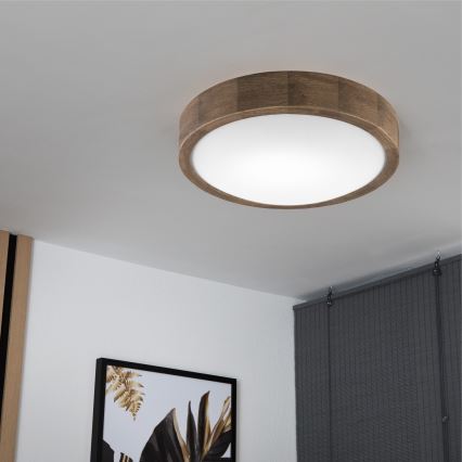 Brilagi - LED griestu lampa CARVALHO SLIM 1xE27/60W/230V ozola valrieksts Ø 27 cm