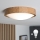 Brilagi - LED Griestu lampa CARVALHO SLIM 1xE27/60W/230V ozols d. 27 cm
