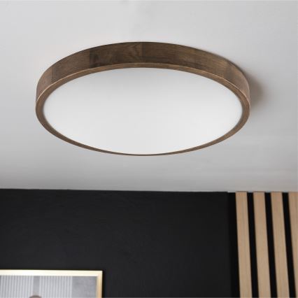 Brilagi - LED Griestu lampa CARVALHO SLIM 3xE27/60W/230V ozols d. 47 cm