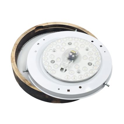 Brilagi - LED griestu lampa CARVALHO SLIM SMOKEY LED/20W/230V, ozola Ø 27,5 cm
