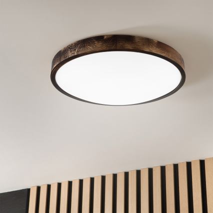 Brilagi - LED griestu lampa CARVALHO SLIM SMOKEY LED/36W/230V ozols Ø 47,5 cm