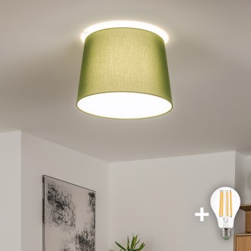 Brilagi - LED griestu lampa CERIA 1xE27/40W/230V Ø 30 cm, zaļa