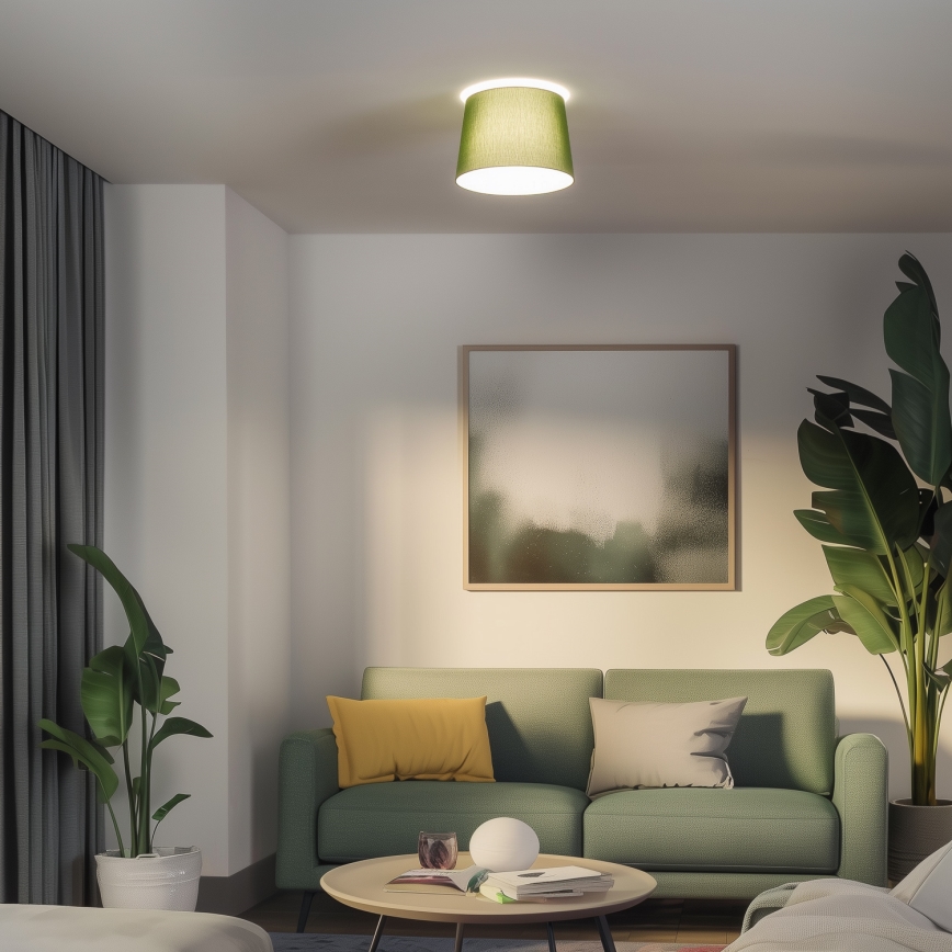 Brilagi - LED griestu lampa CERIA 1xE27/40W/230V Ø 30 cm, zaļa