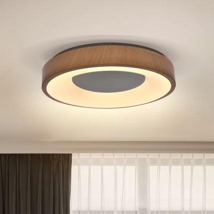 Brilagi - LED Griestu lampa DORIA LED/24W/230V