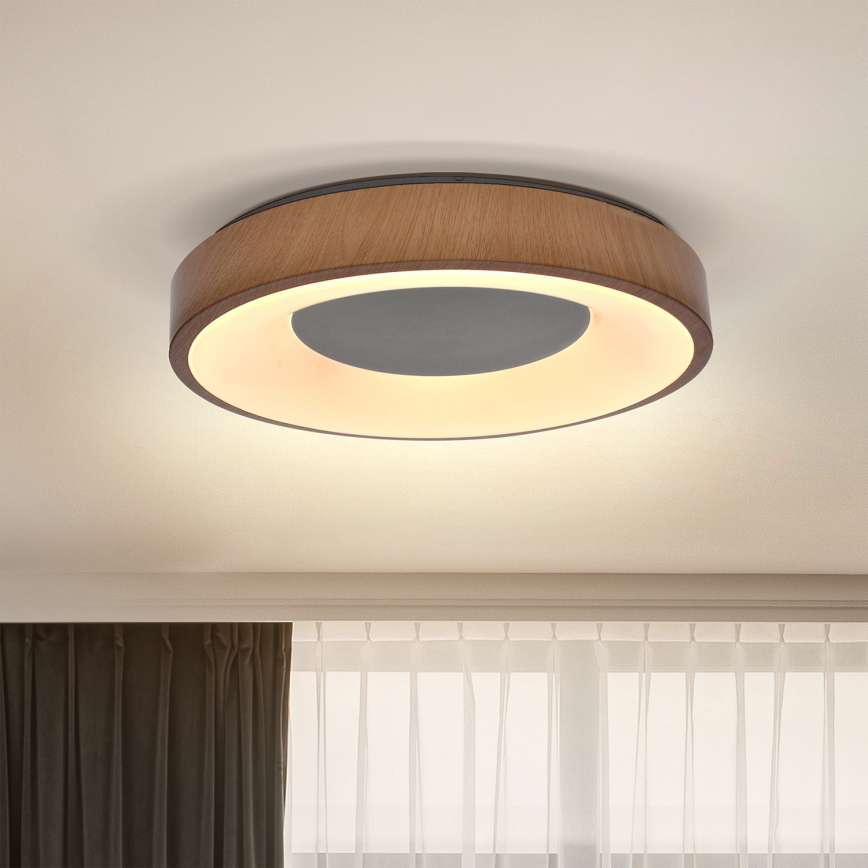 Brilagi - LED Griestu lampa DORIA LED/24W/230V