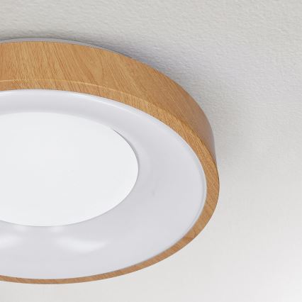 Brilagi - LED Griestu lampa DORIA LED/24W/230V