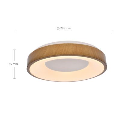 Brilagi - LED Griestu lampa DORIA LED/24W/230V
