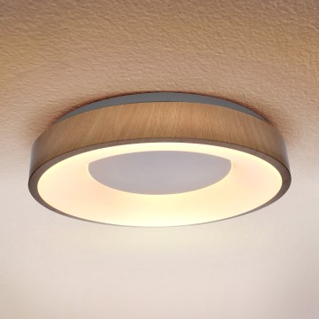 Brilagi - LED griestu lampa DORIA LED/24W/230V Ø 28,5 cm