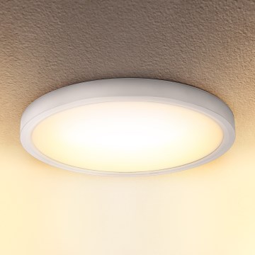 Brilagi - LED Griestu lampa ESTELA LED/18W/230V balta
