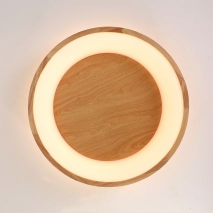 Brilagi - LED griestu lampa FALCON WOOD LED/40W/230V 3000/4000/6000K Ø 60 cm, no koka
