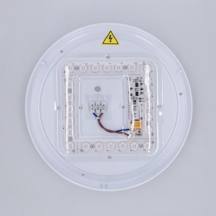 Brilagi - LED griestu lampa LUCIA LED/24W/230V Ø 31 cm pelēka