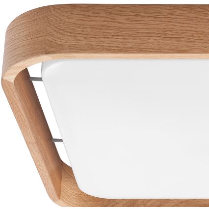 Brilagi - LED regulējams griestu gaismeklis MANAROLA CUBIC LED/24W/230V 45x45 cm 3000-6500K ozols + tālvadības pults