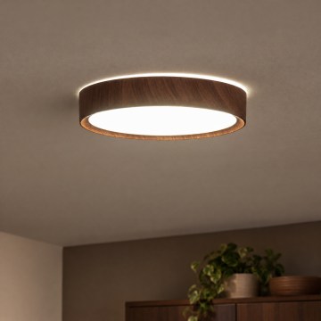 BRILAGI - LED griestu lampa NATURA LED/12W/230V 4000K Ø 26,3 cm