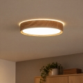 BRILAGI - LED griestu lampa NATURA LED/12W/230V 4000K Ø 26,3 cm