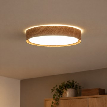 BRILAGI - LED griestu lampa NATURA LED/12W/230V 4000K Ø 26,3 cm