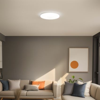 Brilagi - LED Griestu lampa OPAL LED/24W/230V