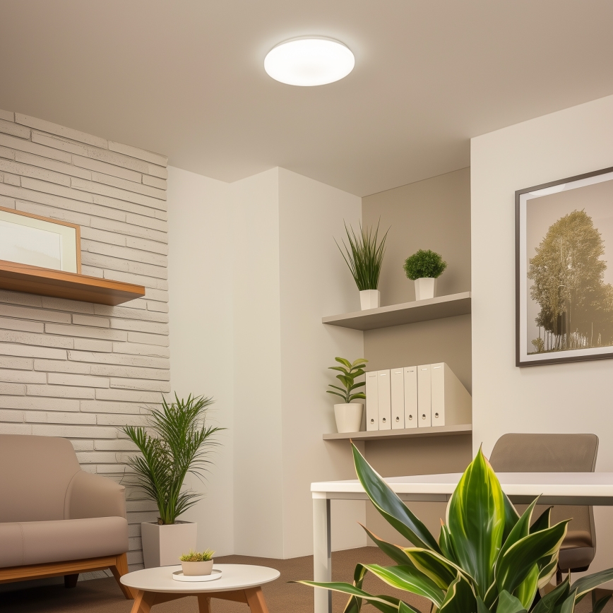 Brilagi - LED Griestu lampa OPAL LED/24W/230V