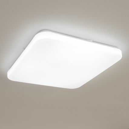 Brilagi - LED Griestu lampa OPAL LED/24W/230V