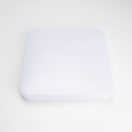 Brilagi - LED Griestu lampa OPAL LED/24W/230V
