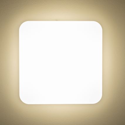 Brilagi - LED Griestu lampa PLAIN LED/24W/230V 3000K