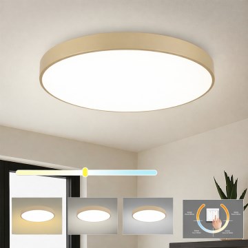Brilagi - LED griestu lampa POOL LED/100W/230V 3000/4000/6000K Ø 80 cm bēša