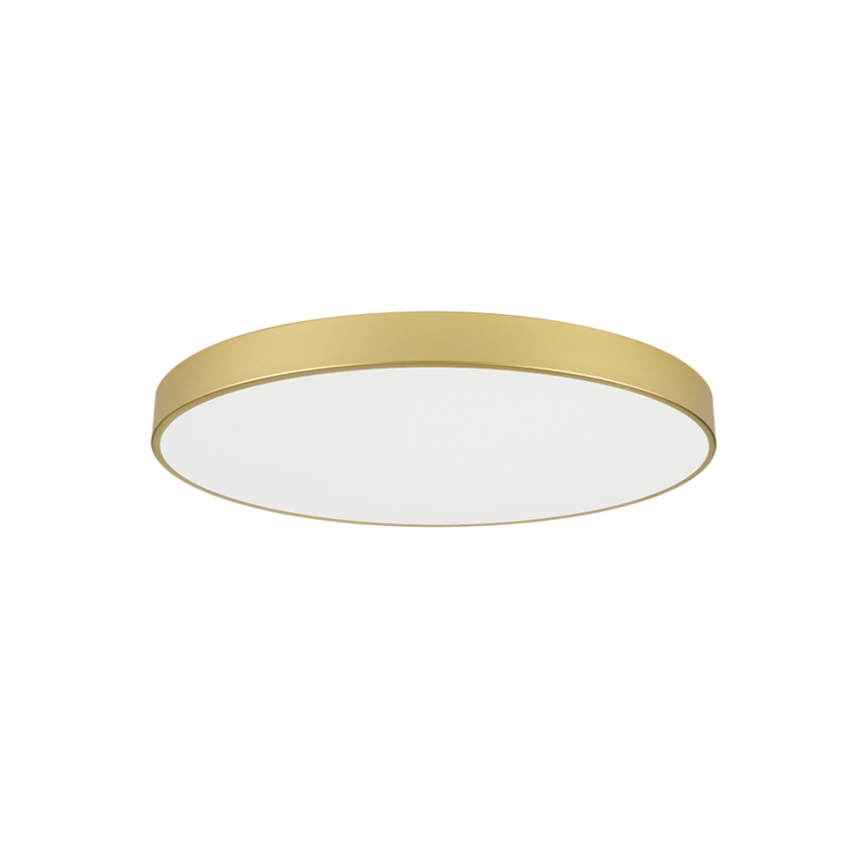 Brilagi - LED griestu lampa POOL LED/100W/230V 3000/4000/6000K Ø 80 cm zelta krāsā