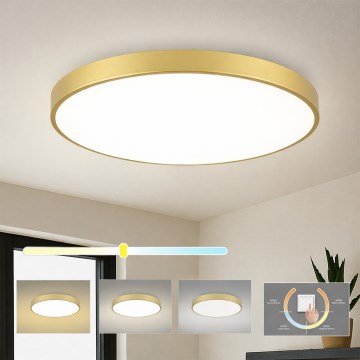 Brilagi - LED griestu lampa POOL LED/100W/230V 3000/4000/6000K Ø 80 cm zelta krāsā