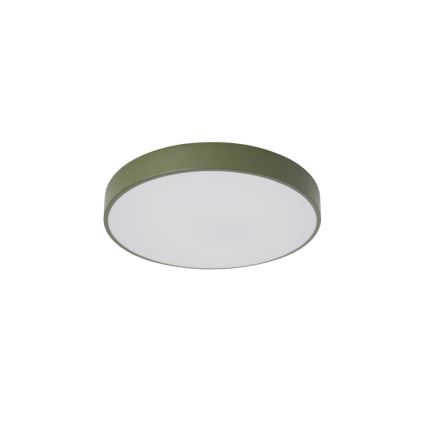 Brilagi - LED griestu lampa POOL LED/36W/230V 3000/4000/6000K Ø 30 cm zaļa