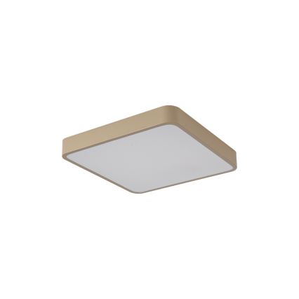 Brilagi - LED griestu lampa POOL LED/36W/230V 3000/4000/6000K 40x40 cm bēša