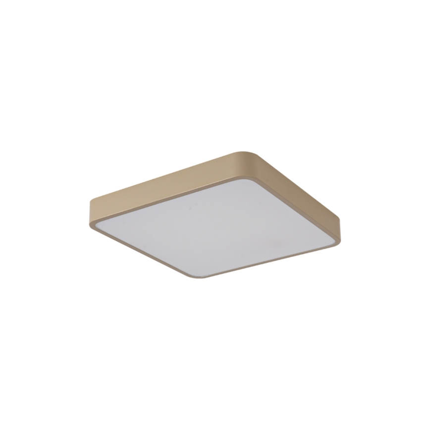 Brilagi - LED griestu lampa POOL LED/36W/230V 3000/4000/6000K 40x40 cm bēša