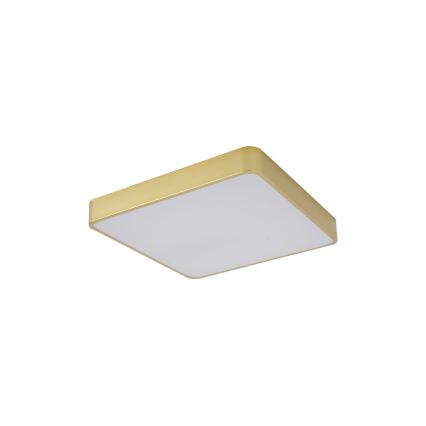 Brilagi - LED griestu lampa POOL LED/36W/230V 3000/4000/6000K 40x40 cm zelta krāsā