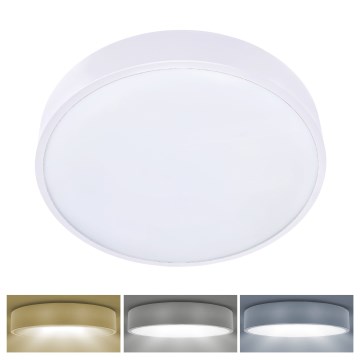 Brilagi - LED griestu lampa POOL LED/36W/230V 3000/4000/6000K Ø 30 cm balta