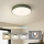 Brilagi - LED griestu lampa POOL LED/36W/230V 3000/4000/6000K Ø 30 cm zaļa