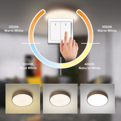 Brilagi - LED griestu gaismeklis POOL LED/48W/230V 3000/4000/6000K Ø 40 cm brūns
