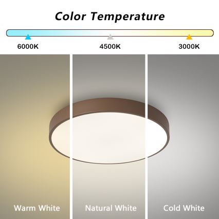 Brilagi - LED griestu gaismeklis POOL LED/48W/230V 3000/4000/6000K Ø 40 cm brūns