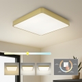Brilagi - LED griestu lampa POOL LED/48W/230V 3000/4000/6000K 50x50 cm zelta