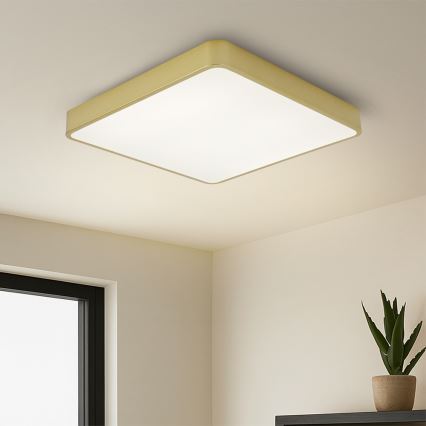 Brilagi - LED griestu lampa POOL LED/48W/230V 3000/4000/6000K 50x50 cm zelta