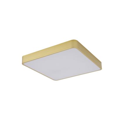 Brilagi - LED griestu lampa POOL LED/48W/230V 3000/4000/6000K 50x50 cm zelta