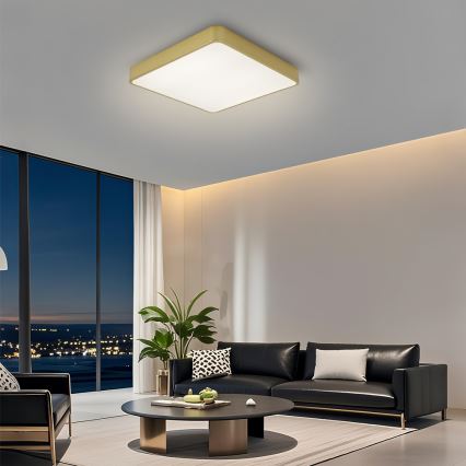 Brilagi - LED griestu lampa POOL LED/48W/230V 3000/4500/6000K 50x50 cm zelta