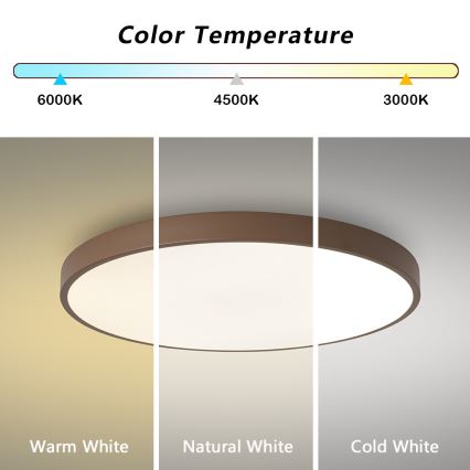 Brilagi - LED griestu lampa POOL LED/60W/230V 3000/4000/6000K Ø 60 cm brūna