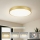 Brilagi - LED griestu lampa POOL LED/60W/230V 3000/4000/6000K Ø60 cm zelta