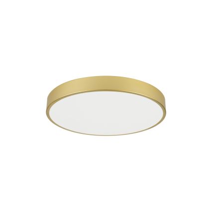 Brilagi - LED griestu lampa POOL LED/60W/230V 3000/4000/6000K Ø60 cm zelta