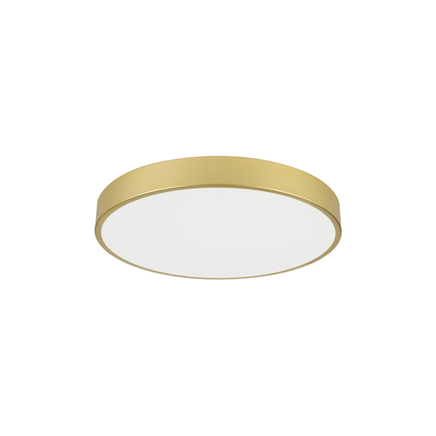 Brilagi - LED griestu lampa POOL LED/60W/230V 3000/4000/6000K Ø60 cm zelta